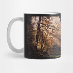 Sun Rays in Bohemian Switzerland Hrensko #8 Mug